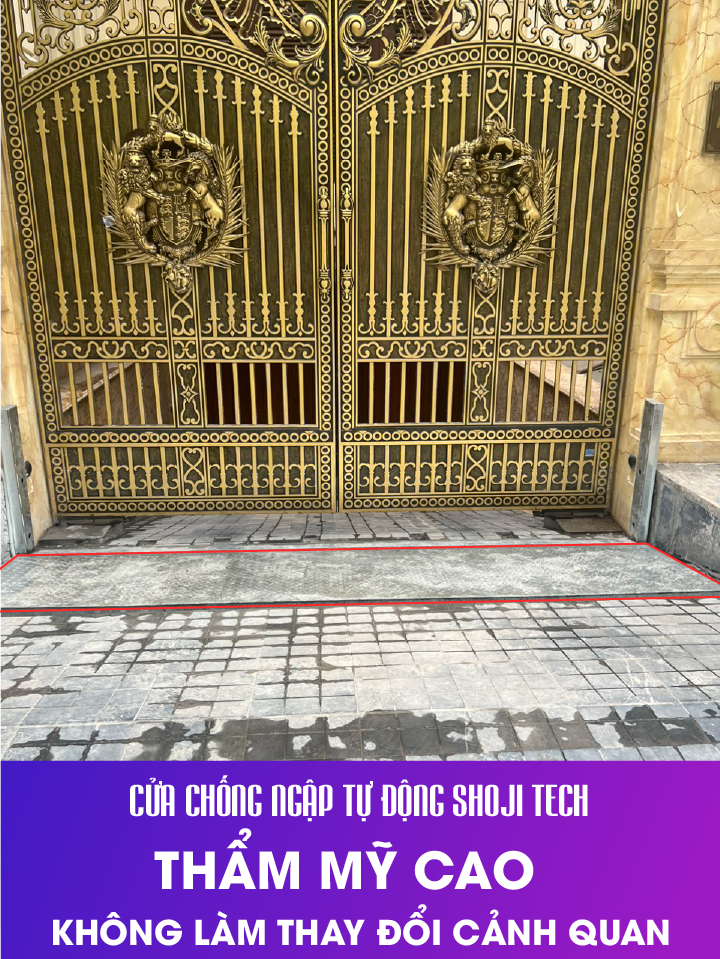 cua-chong-nghap-tham-my-cao